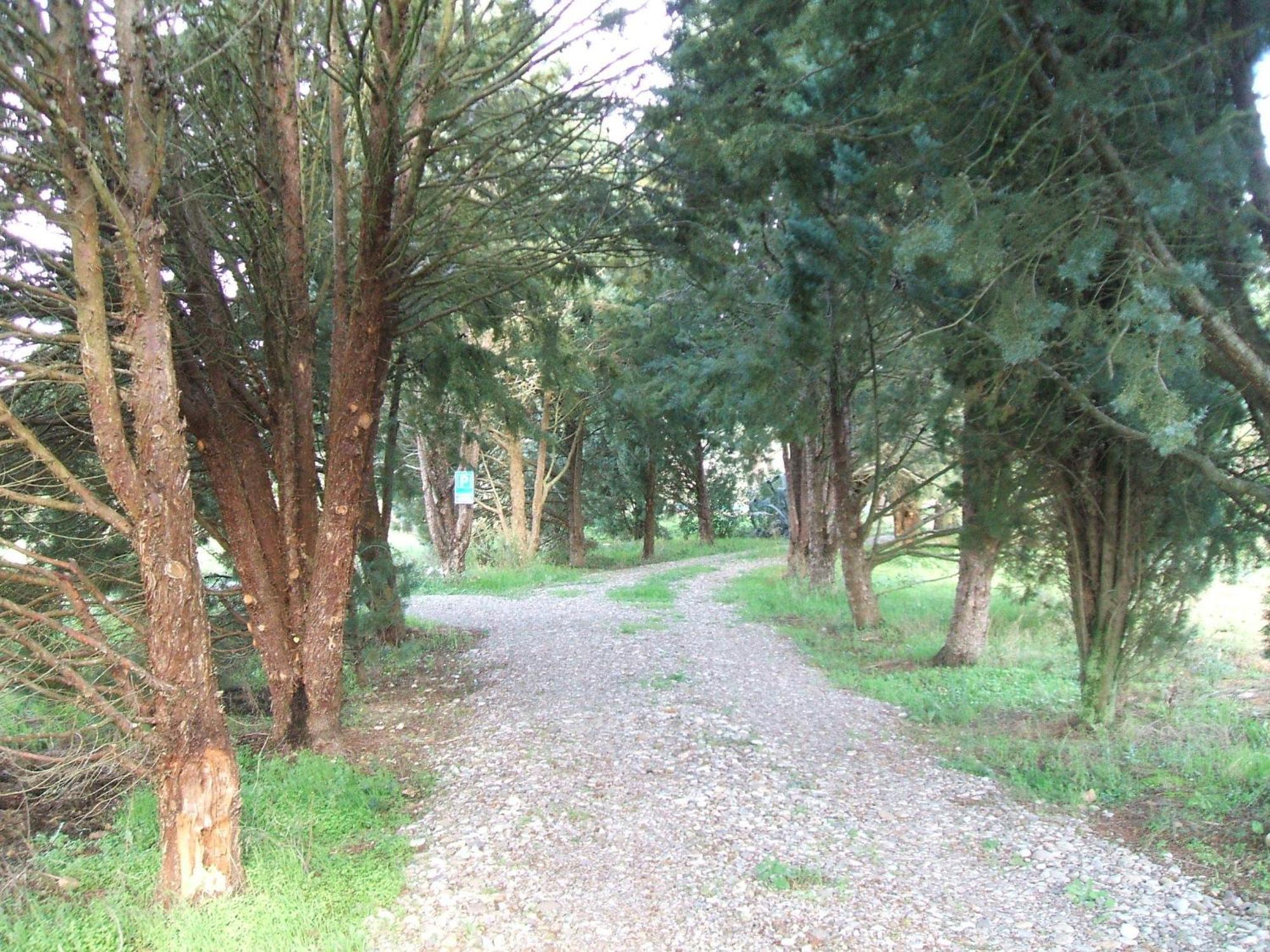 Casetta Francini Civitella Marittima Exterior photo